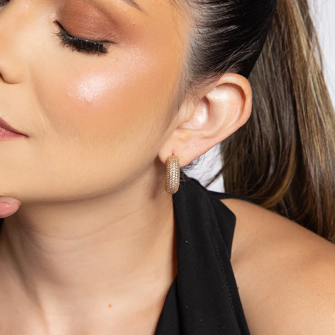 Brinco Argola Cravejado