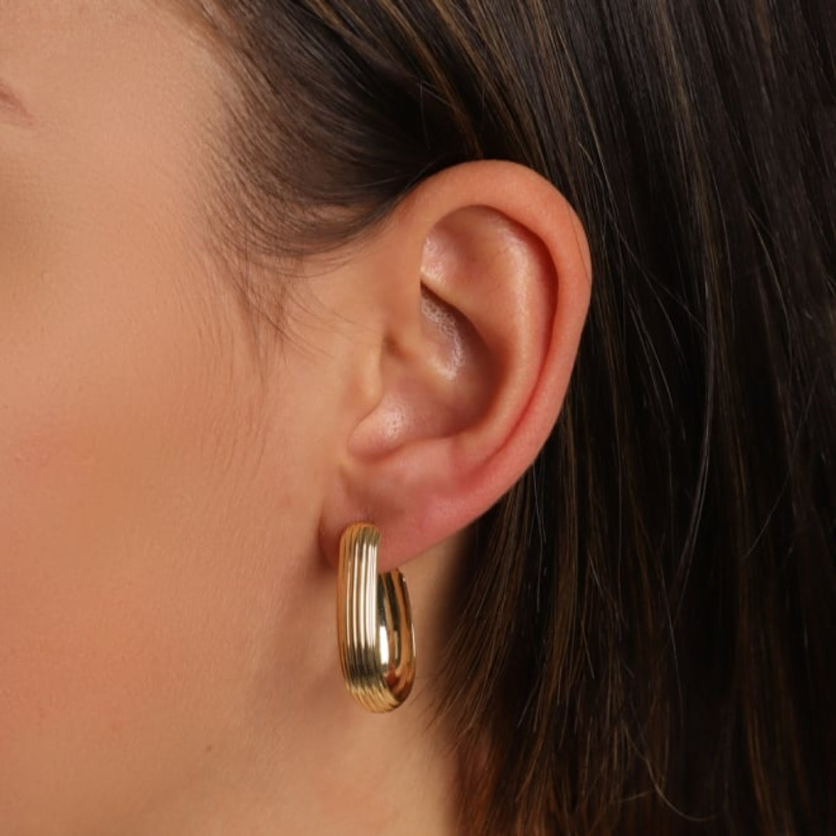 Brinco Argola Média